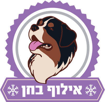 אילוף בחן